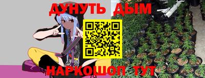 сатива Кунгур
