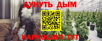 сатива Кунгур