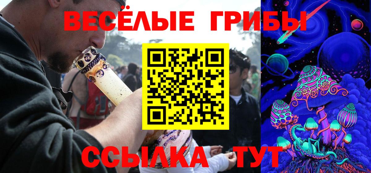 Псилоцибиновые грибы MAGIC MUSHROOMS  купить наркотики сайты  Галлюциногенные грибы Psilocybine cubensis  Холмск  Вход с VPN 